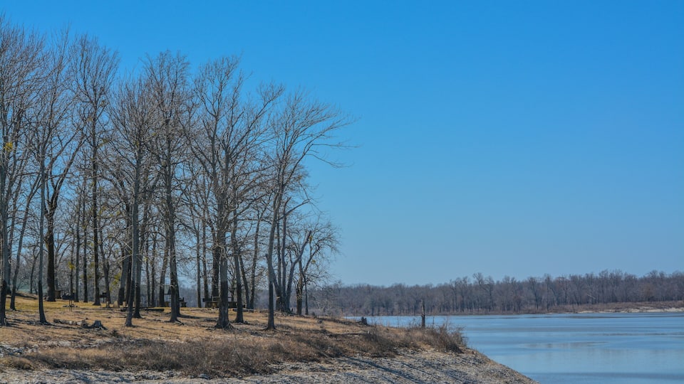 A riverbank with leafless trees and a clear blue sky.
