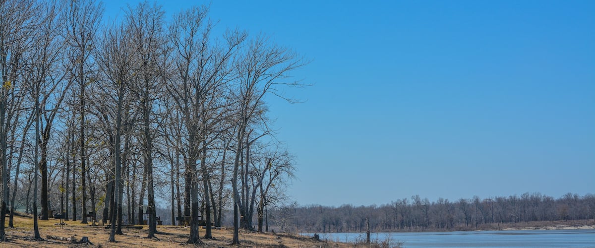 A riverbank with leafless trees and a clear blue sky.