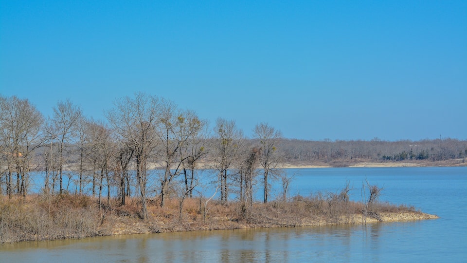 A calm lake with leafless trees and a distant shoreline.