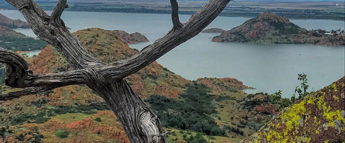 A dead tree branch in the foreground with a lake and hills in the background.