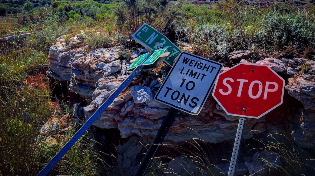 Nice little hill to climb, a practical joker drug these county signs to the top.
