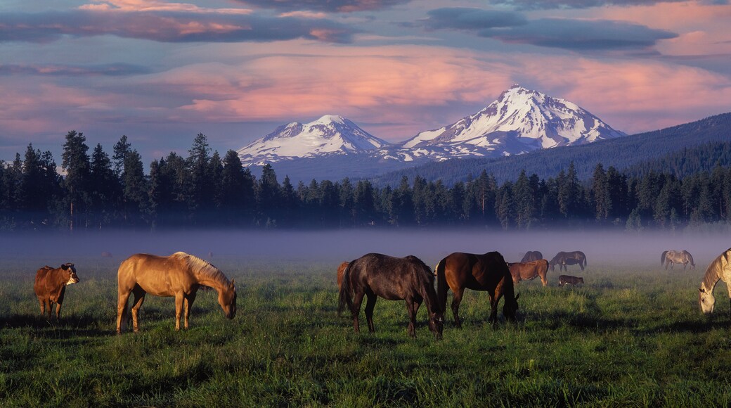 Black Butte Ranch