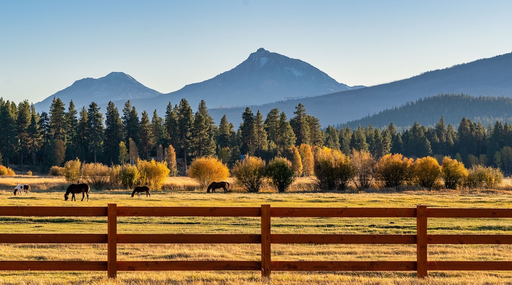 Black Butte Ranch
