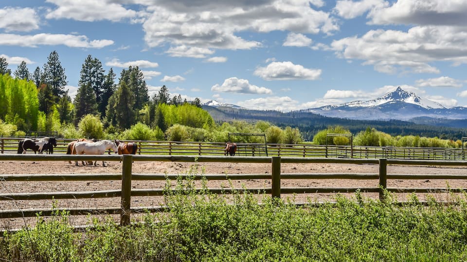 A fenced horse pen with horses, surrounded by greenery and mountains in the background.