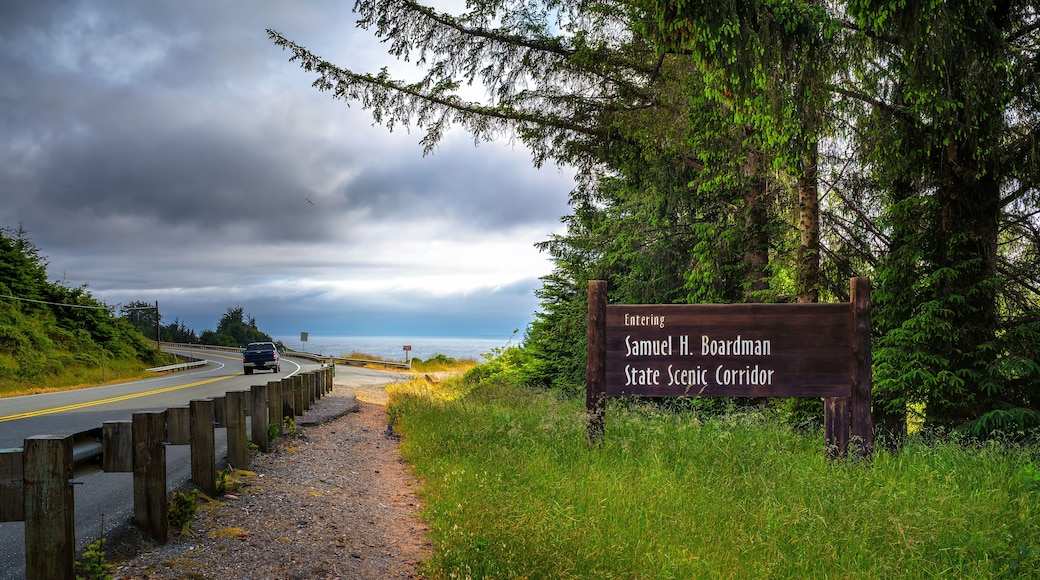 ๋ณด๋๋งจ