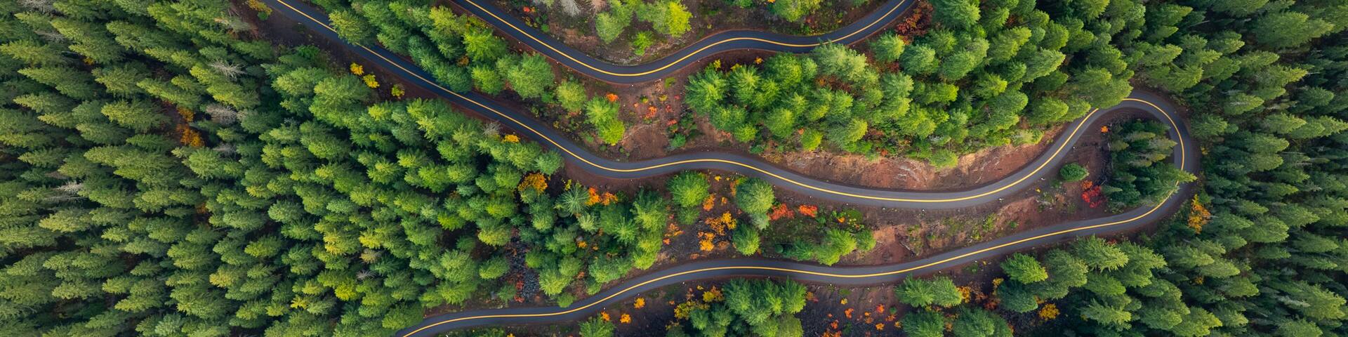Aerial view of a serpentine road winding through the dense evergreen trees of Willamette National Forest in Lane County, Oregon, United States.