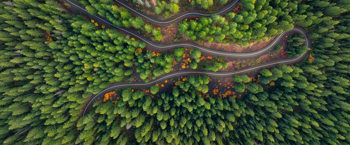 An aerial view of a winding road through a dense forest with a mix of green and orange foliage.