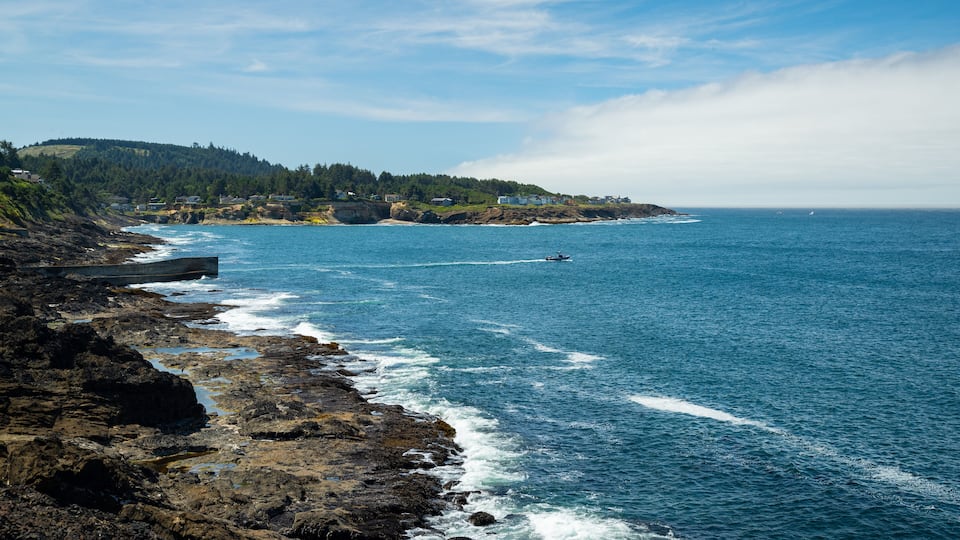 A rocky coastline with waves crashing onto the shore, a clear blue sky, and a distant forested hill with buildings.