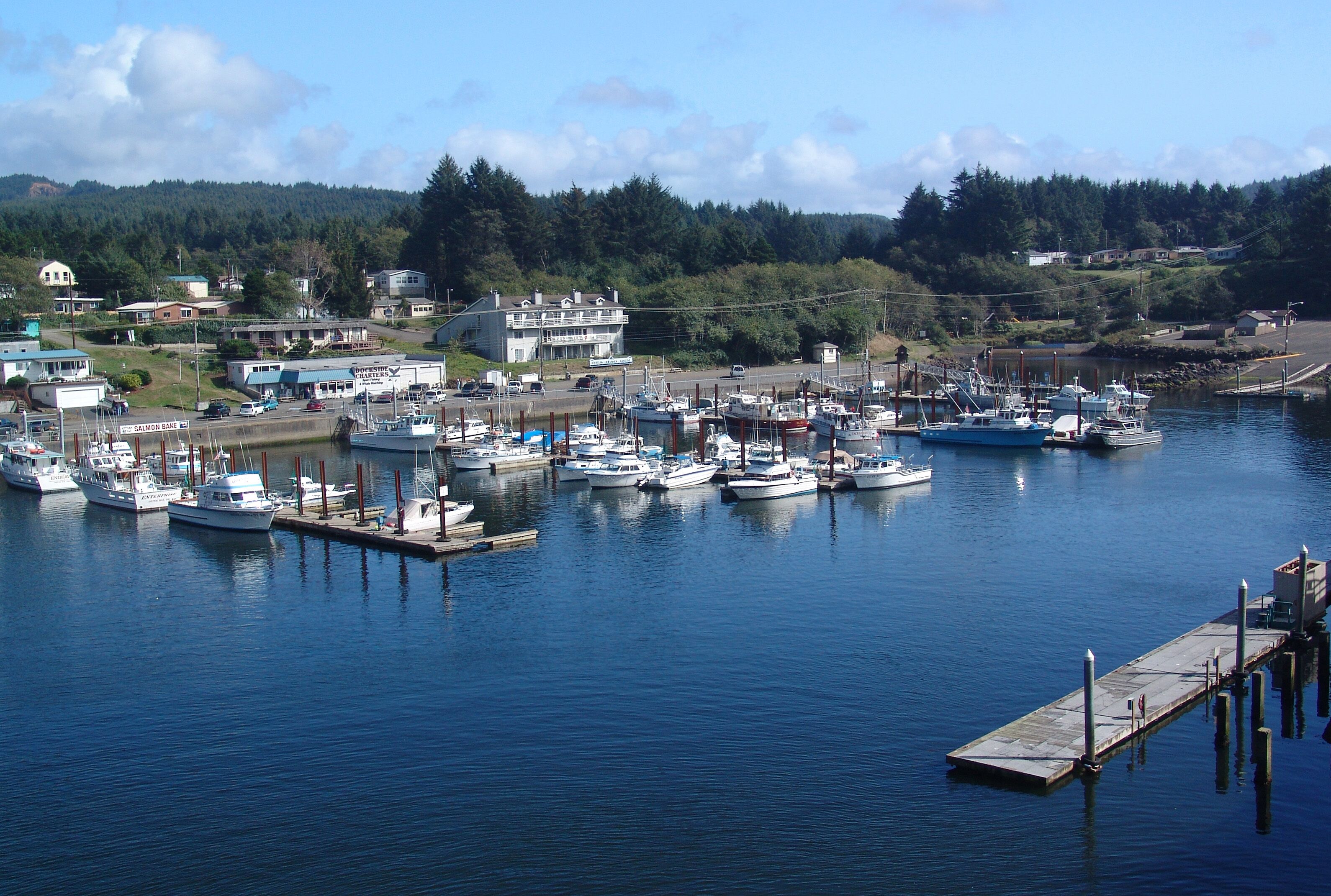 A marina with various boats docked, surrounded by houses and a forested hillside.