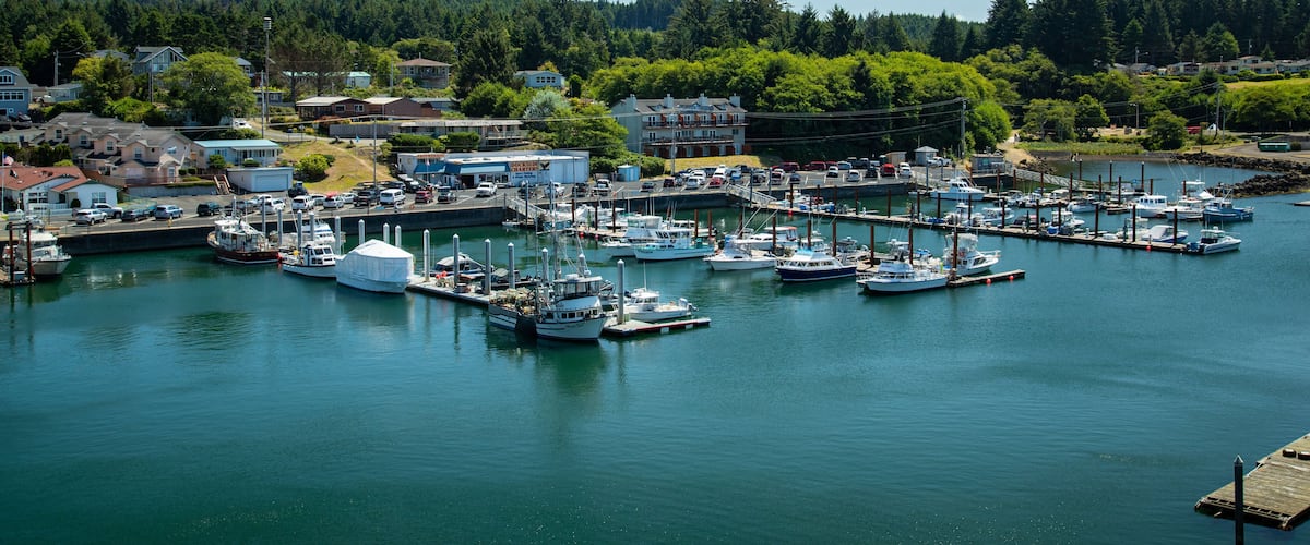 A marina with boats docked, surrounded by residential houses and a forested hill.