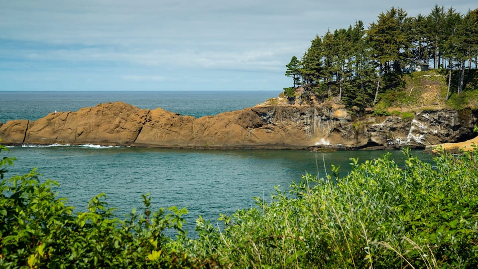 A rocky coastline with a forested cliff and a clear view of the ocean.