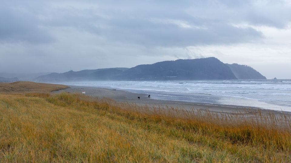 A coastal landscape with a beach, grassy dunes, and a mountain in the distance.