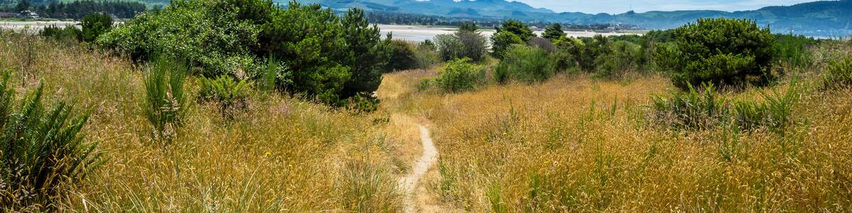 Path to the bay in Gearhart, Oregon