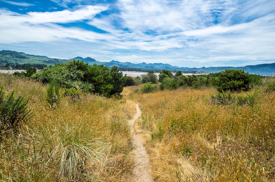 Path to the bay in Gearhart, Oregon