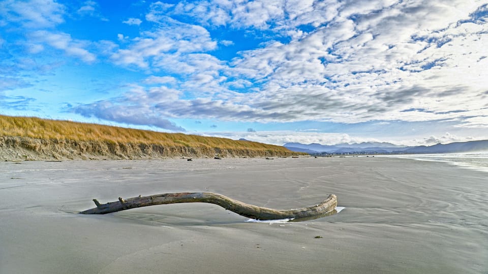 A sandy beach with a driftwood log in the foreground and a grassy dune in the background.