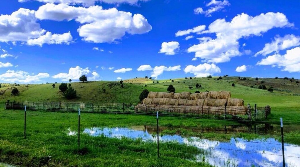 Taken on Flint Creek Rd about 8 miles from town while on a day ride from Silver City, ID an old mining town. Best mode of transportation is an UTV! #BVSBlue