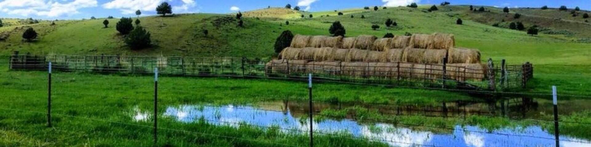 Taken on Flint Creek Rd about 8 miles from town while on a day ride from Silver City, ID an old mining town. Best mode of transportation is an UTV! #BVSBlue