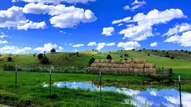 Taken on Flint Creek Rd about 8 miles from town while on a day ride from Silver City, ID an old mining town. Best mode of transportation is an UTV! #BVSBlue