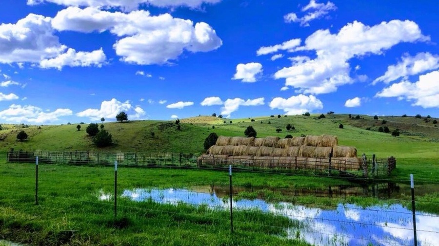Taken on Flint Creek Rd about 8 miles from town while on a day ride from Silver City, ID an old mining town. Best mode of transportation is an UTV! #BVSBlue