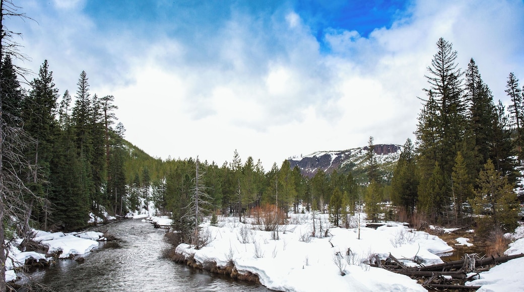 The road to the famous Tumalo Falls Trail was closed for repairs. But the views at the trailhead were something to see.