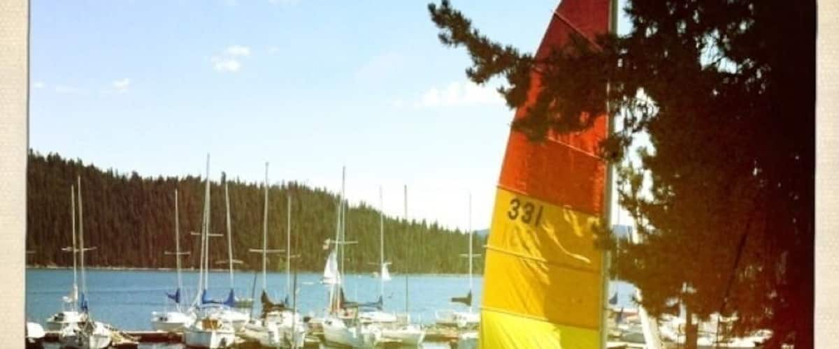 A calm lake with sailboats and a yellow sailboat with the number 331.