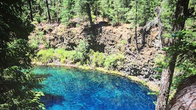 There was a gorgeous 2 mile hike through lush forest and lava rock to get to this beauty. It is the most incredible blue I have seen. The water is a freezing 40 degrees and is the headwaters of the McKenzie River. Yes, people were actually jumping in and quickly popping back out.