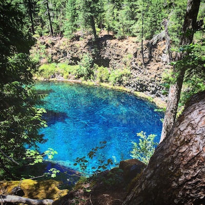 There was a gorgeous 2 mile hike through lush forest and lava rock to get to this beauty.  It is the most incredible blue I have seen. The water is a freezing 40 degrees and is the headwaters of the McKenzie River.  Yes, people were actually jumping in and quickly popping back out.