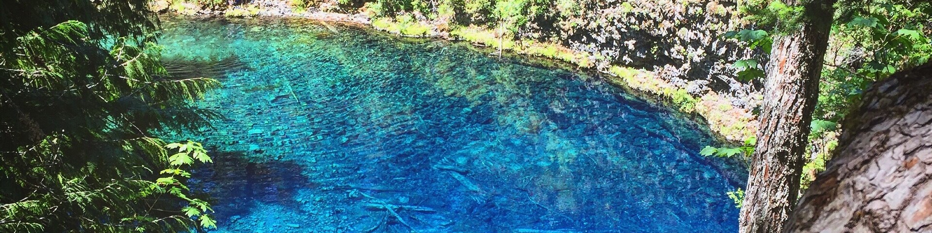 There was a gorgeous 2 mile hike through lush forest and lava rock to get to this beauty. It is the most incredible blue I have seen. The water is a freezing 40 degrees and is the headwaters of the McKenzie River. Yes, people were actually jumping in and quickly popping back out.
