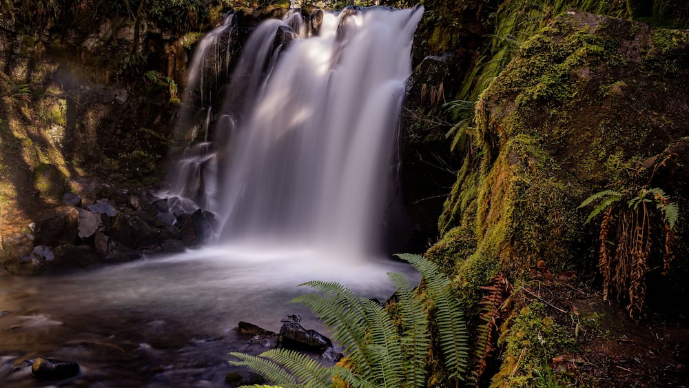 McDowell Creek Lebanon Oregon Cascade Range Forest