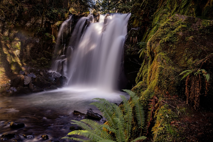 McDowell Creek Lebanon Oregon Cascade Range Forest