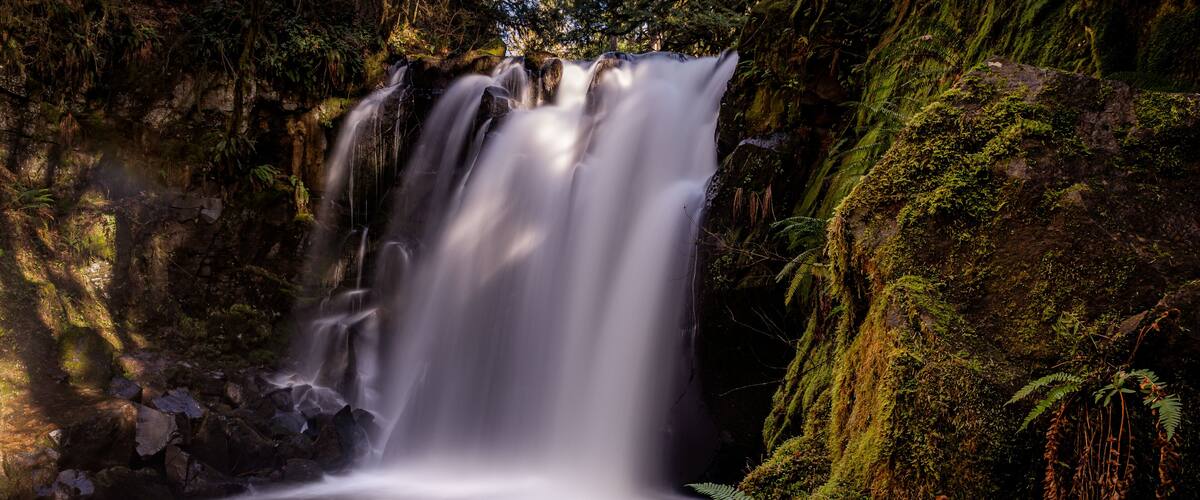 A waterfall surrounded by lush greenery and moss-covered rocks.