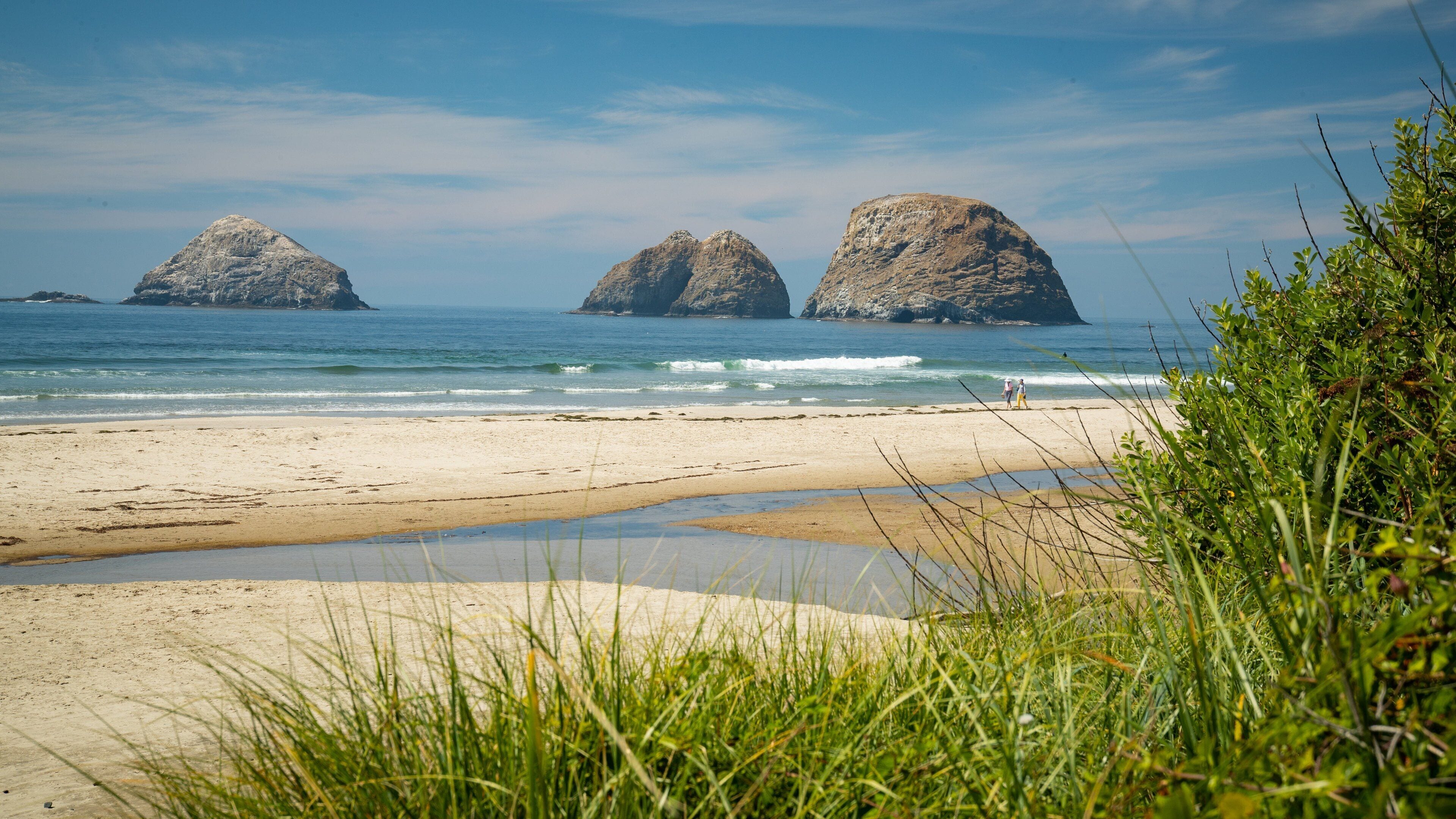 A beach with three rocky formations in the water and green vegetation in the foreground.