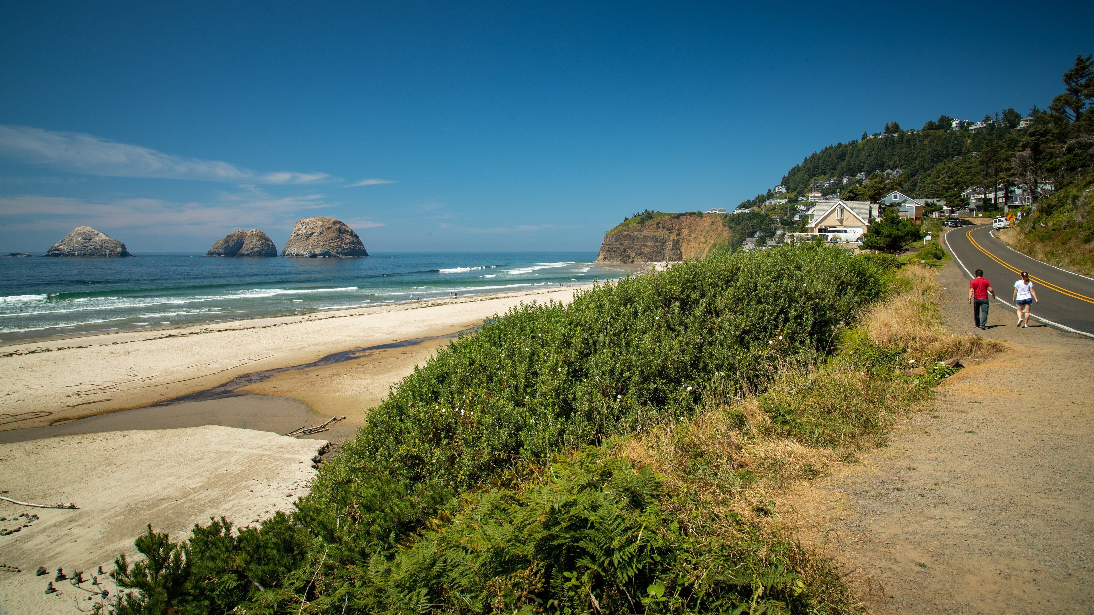 A coastal road with a beach, rocky outcrops, and houses on a hillside.