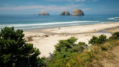 A beach with three large rock formations in the distance, surrounded by greenery and a clear blue sky.