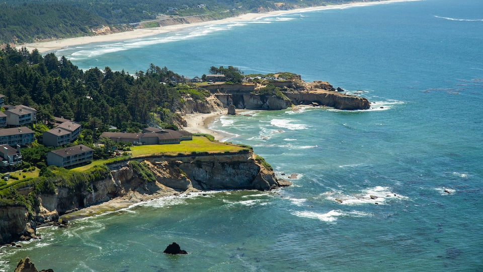A coastal town with houses on a cliff overlooking the ocean.