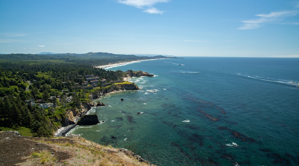 Otter Rock showing general coastal views and landscape views