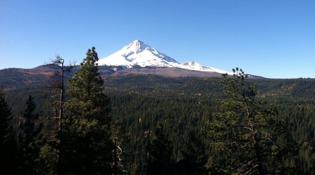 A look at Mount Hood from the best viewpoint on the trail.