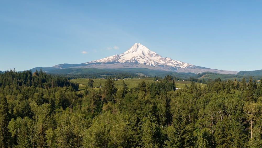 A snow-capped mountain with a forested foreground and clear skies.