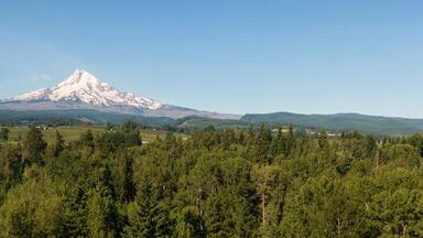 Aerial Panoramic View of American Landscape and Green Farm Fields with Mount Hood in the background. Taken in Oregon, United States of America.