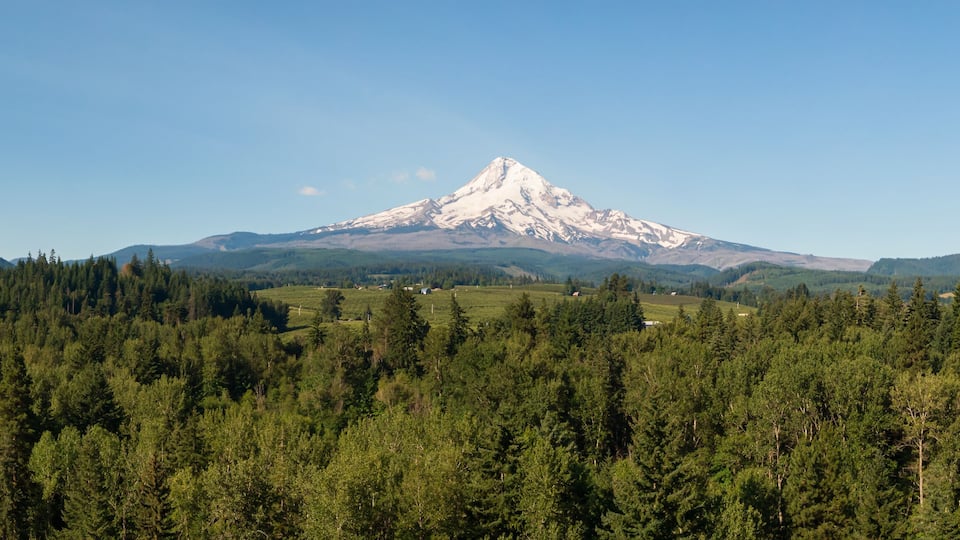 A snow-capped mountain with a forested foreground and clear skies.