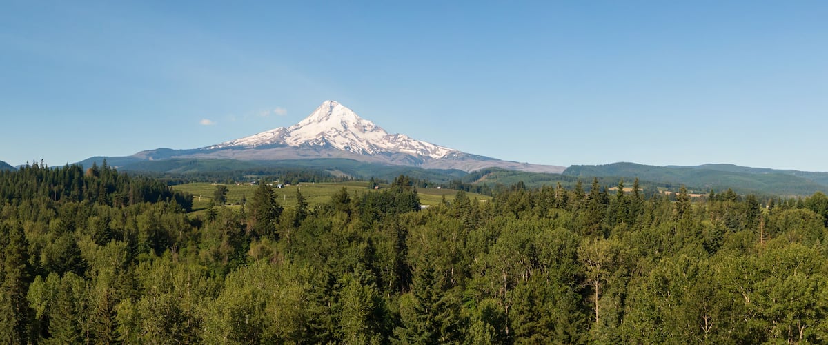 A snow-capped mountain with a forested foreground and clear skies.