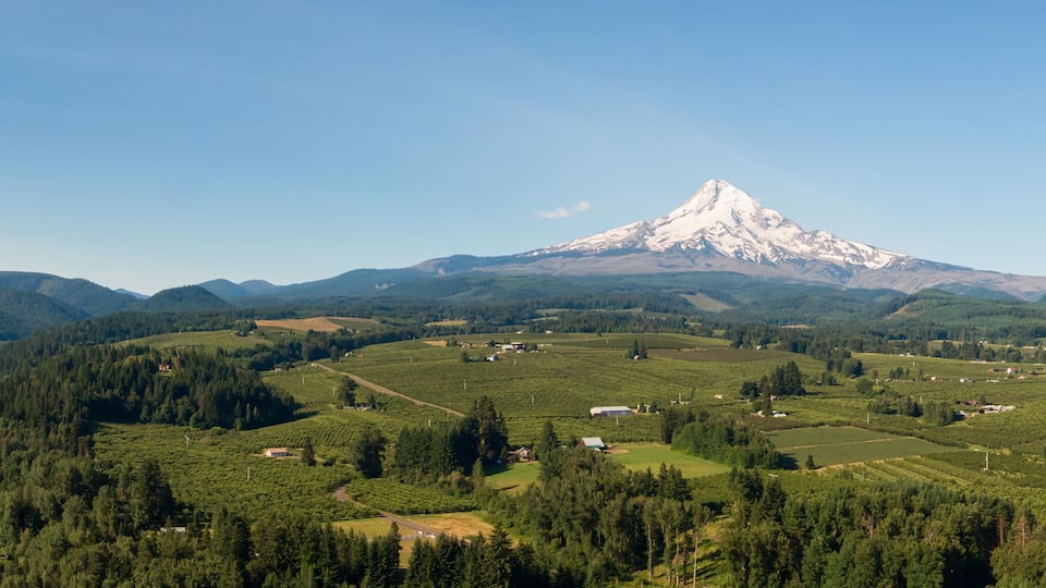 A snow-capped mountain, green fields, and scattered houses.