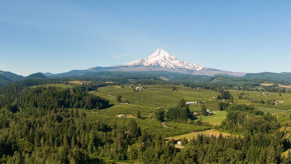 A mountain with a snow-capped peak, surrounded by dense forests and agricultural fields.