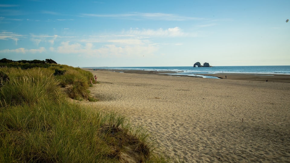 A beach with sand dunes, a rocky formation in the water, and the ocean.