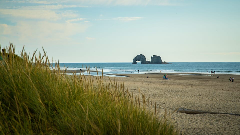 A beach with a large rock formation in the distance.