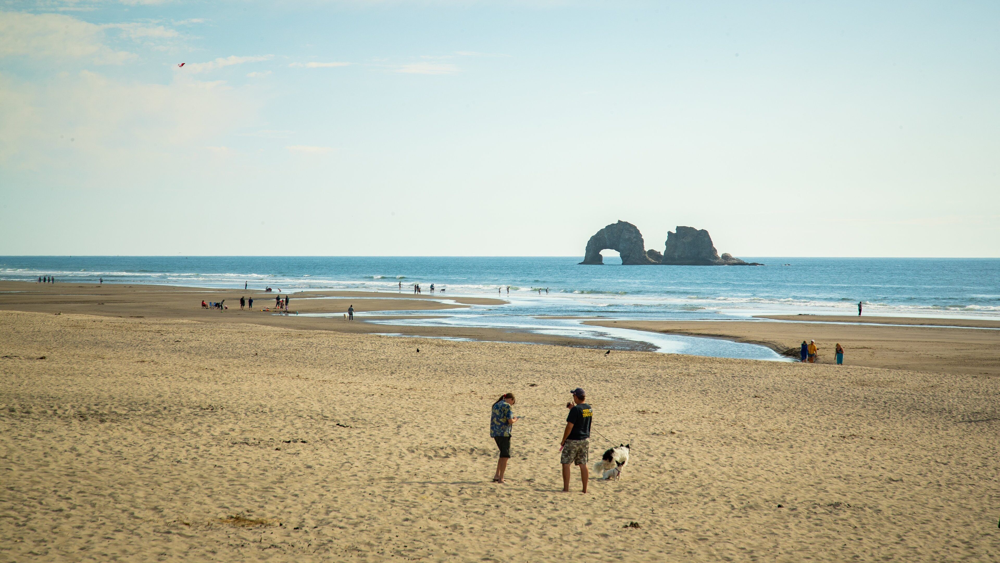 A sandy beach with people and a dog, a large rock formation in the distance, and calm ocean waves.