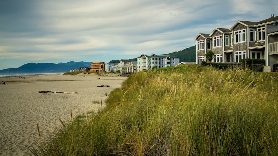 A beach with tall grass in the foreground, a sandy shore, and a row of houses along the coastline.