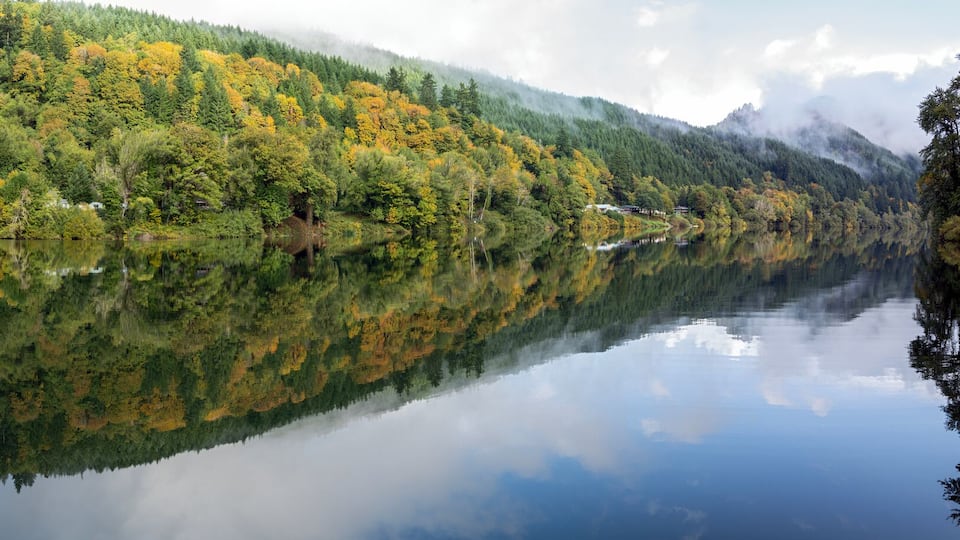 Panorama of the early morning reflections in the Umpqua River at the county park in Scottsburg, Oregon, USA