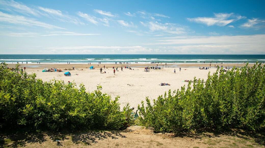 Cannon Beach featuring general coastal views and a beach