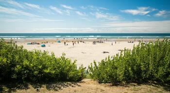 Cannon Beach featuring general coastal views and a beach